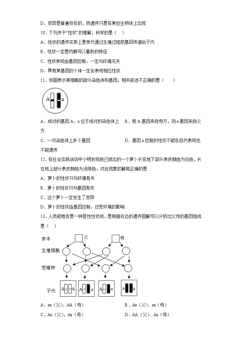 海南省琼海市2021-2022学年八年级下学期期中生物试题(含答案)第2页