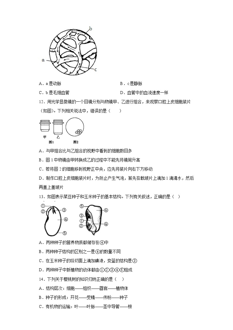 山东省烟台市福山区（五四制）2021-2022学年八年级下学期期中（中考诊断考试）生物试题(含答案)03