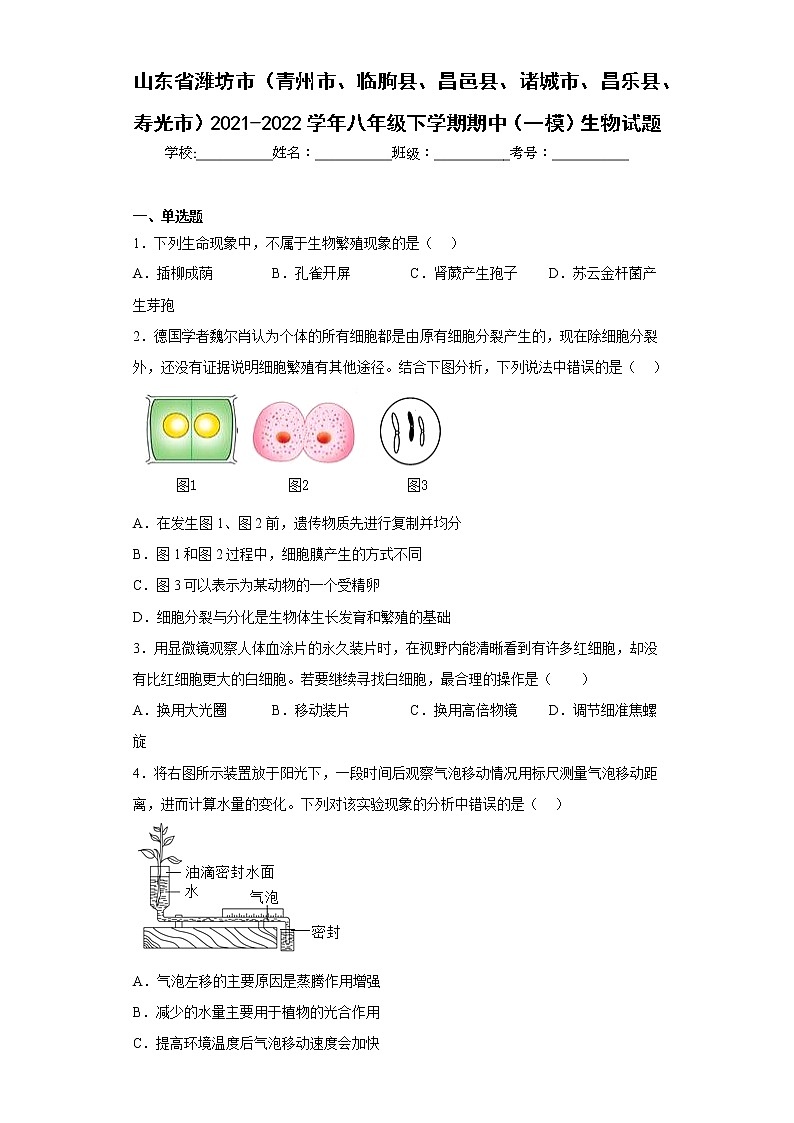 山东省潍坊市（青州市、临朐县、昌邑县、诸城市、昌乐县、寿光市）2021-2022学年八年级下学期期中（一模）生物试题(含答案)01