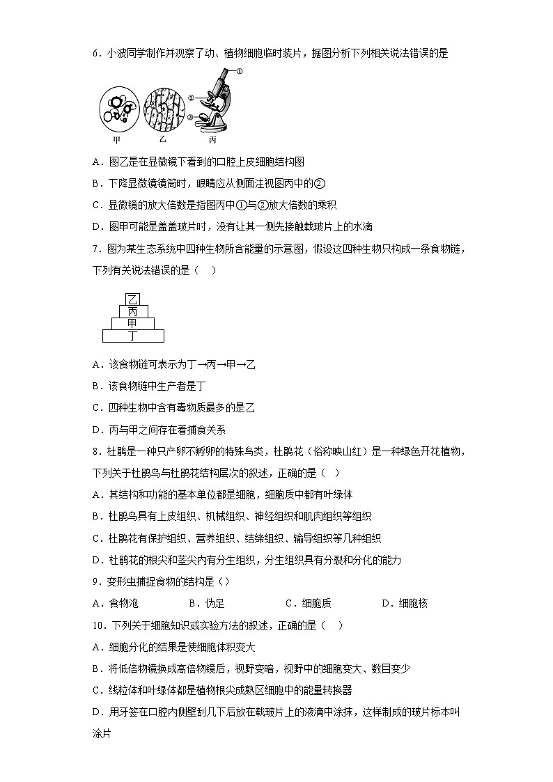 安徽省合肥市巢湖市2021-2022学年七年级上学期期末生物试题(含答案)第2页