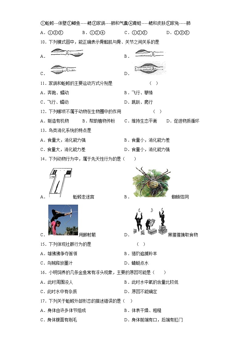黑龙江省佳木斯市抚远市2021-2022学年八年级上学期期中生物试题(含答案)02