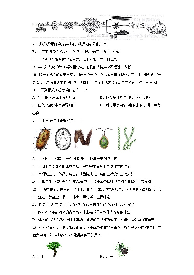 陕西省西安市长安区2021-2022学年七年级上学期期末生物试题(含答案)03