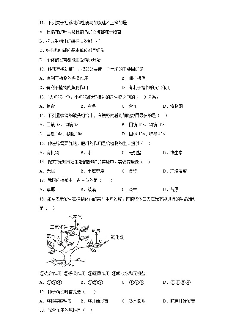 新疆喀什地区疏附县2021-2022学年七年级上学期期末生物试题(含答案)02