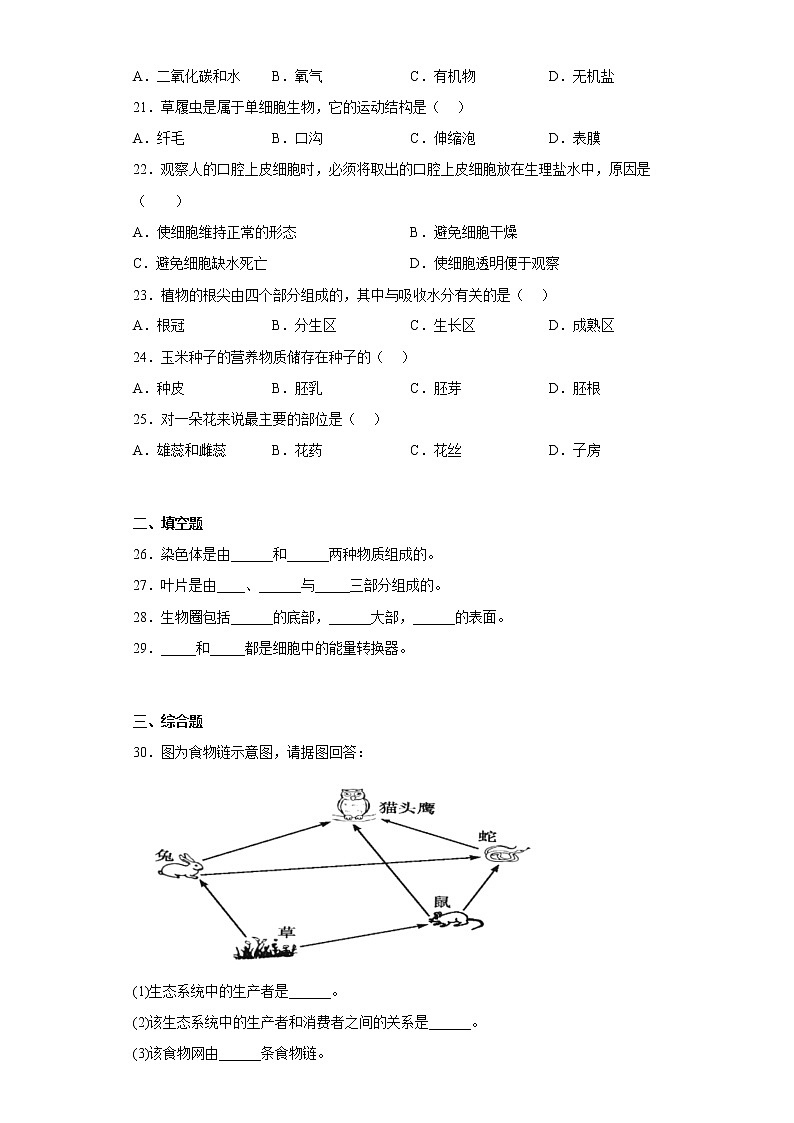 新疆喀什地区疏附县2021-2022学年七年级上学期期末生物试题(含答案)03