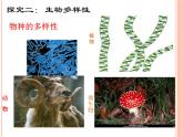 1.1形形色色的生物 课件