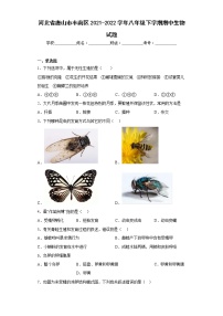 河北省唐山市丰南区2021-2022学年八年级下学期期中生物试题(含答案)