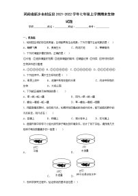 河南省新乡市封丘县2021-2022学年七年级上学期期末生物试题(含答案)