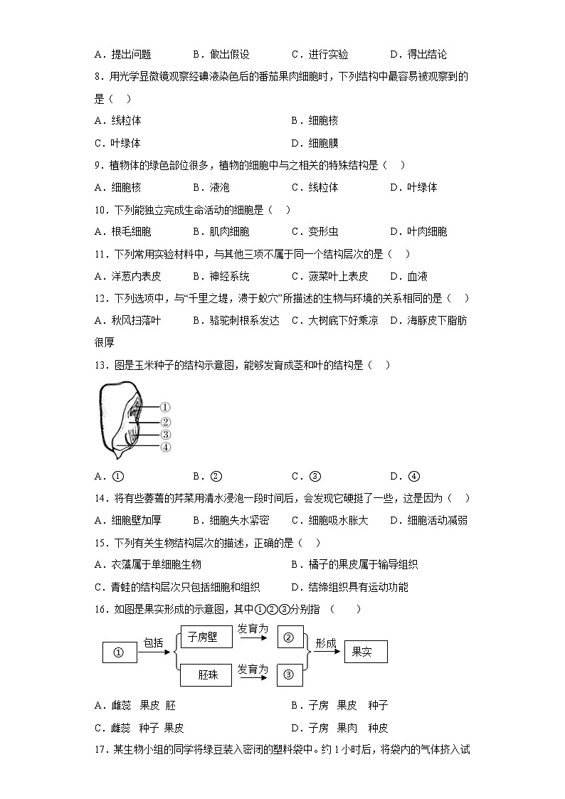 河南省新乡市封丘县2021-2022学年七年级上学期期末生物试题(含答案)第2页