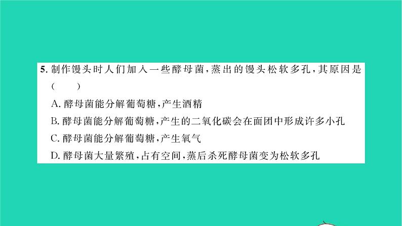 2022—2023学年度新版生物北师大版八年级下册第9单元生物技术第25章生物技术综合检测习题课件新版北师大版06