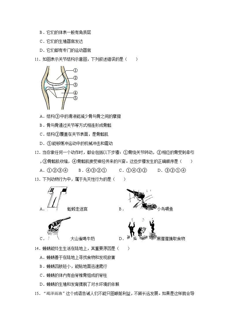 湖南省岳阳市岳阳县开发区长岭中学2022-2023学年八年级上学期第一次月考生物试卷(含答案)第3页