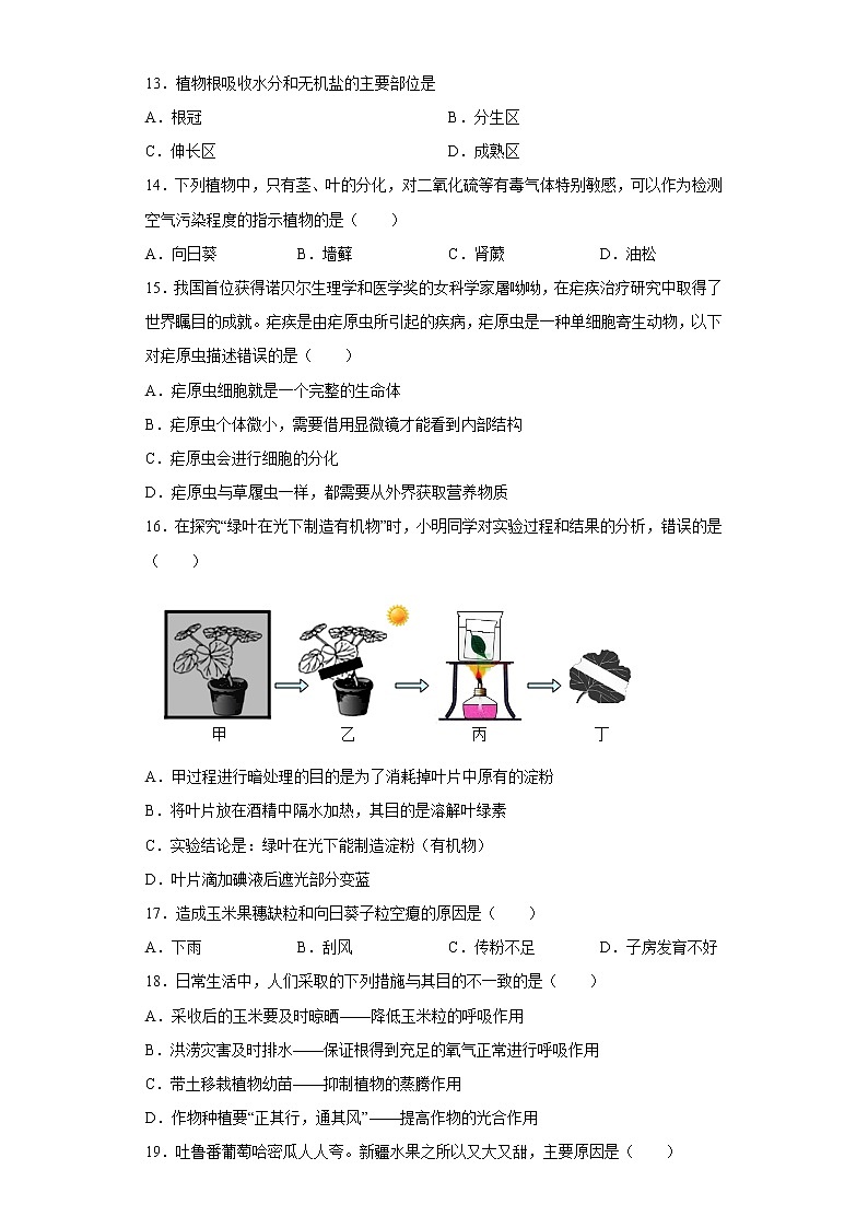广东省汕头市龙湖区2021-2022学年七年级上学期期末生物试题(含答案)03