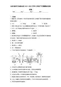 山东省济宁市微山县2021-2022学年七年级下学期期末生物试题(含答案)