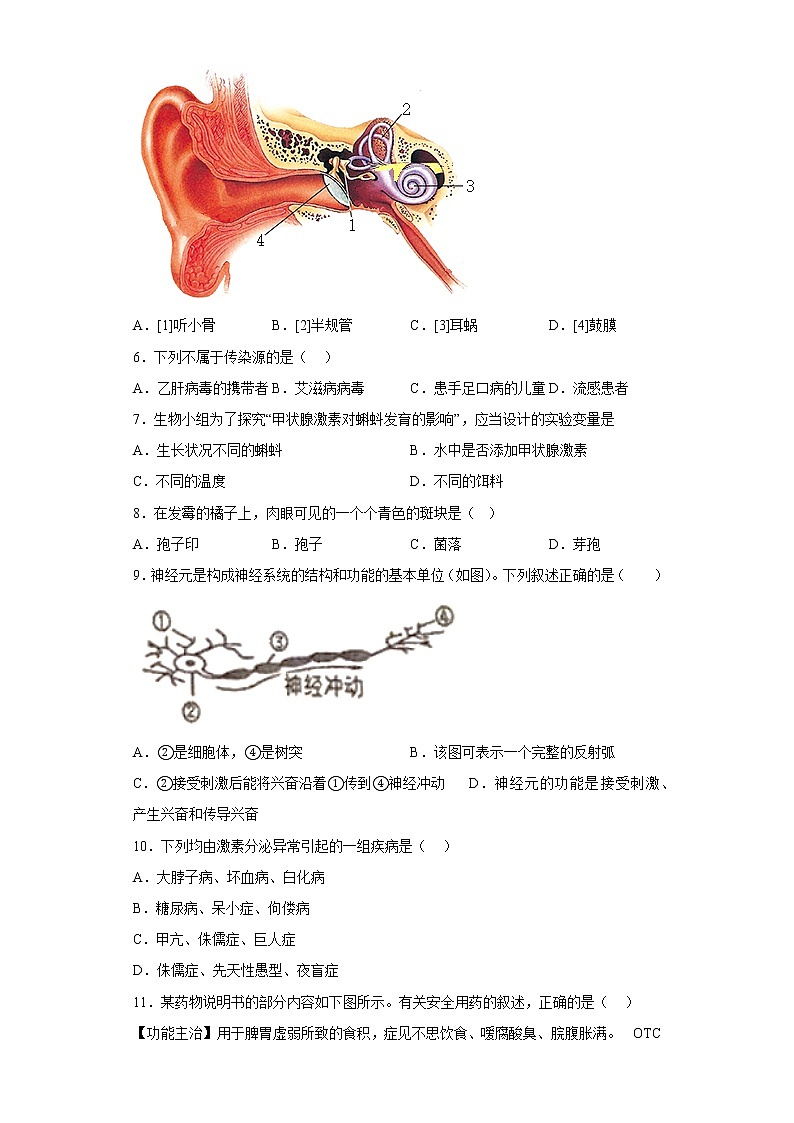 山东省烟台市福山区2021-2022学年七年级下学期期末生物试题(含答案)02