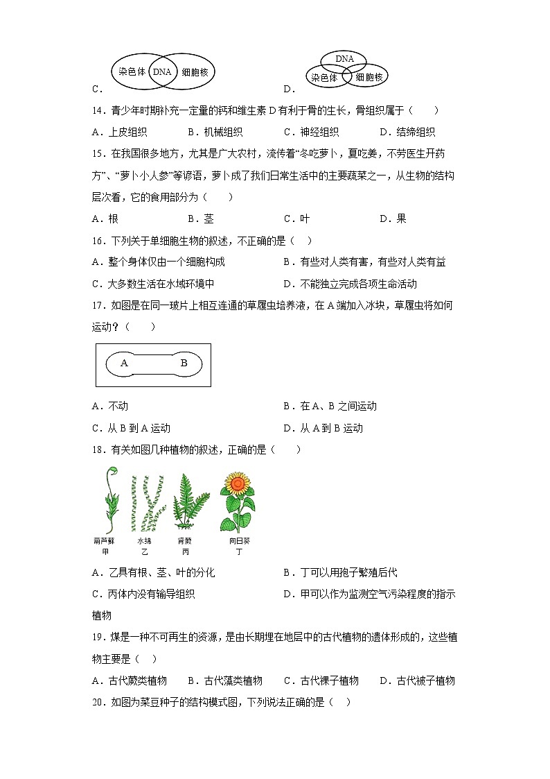 陕西省渭南市韩城市2021-2022学年七年级上学期期末生物试题(含答案)03