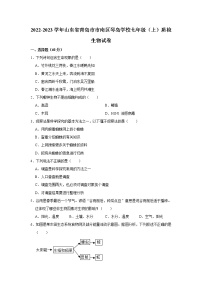 山东省青岛市市南区琴岛学校2022-2023学年七年级上学期质检生物试卷(含答案)