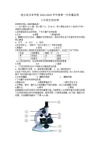 江苏省淮安市涟水县安东学校2022-2023学年七年级上学期第一次质量监测生物试卷（含答案）