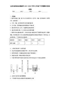 山东省济南市槐荫区2021-2022学年七年级下学期期中生物试题(含答案)