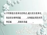 人教版生物八年级上册 第二节 从种到界 课件