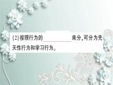 人教版生物八年级上册 第二节 先天性行为和学习行为 课件