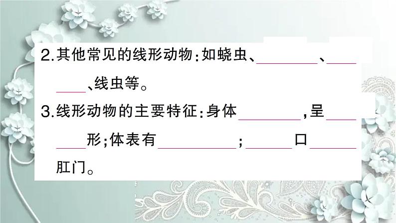 人教版生物八年级上册 第二节 线形动物和环节动物 课件第7页