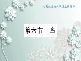人教版生物八年级上册 第六节 鸟 课件