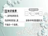 人教版生物八年级上册 第六节 鸟 课件