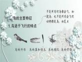 人教版生物八年级上册 第六节 鸟 课件