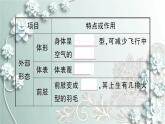 人教版生物八年级上册 第六节 鸟 课件