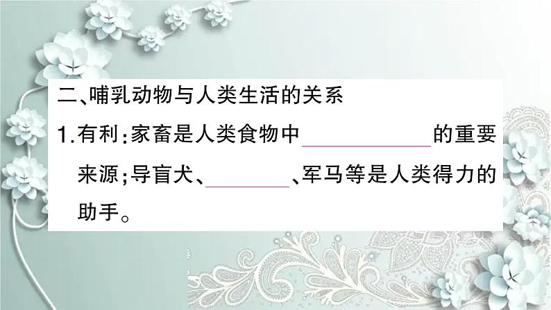 人教版生物八年级上册 第七节 哺乳动物 课件第8页