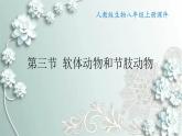 人教版生物八年级上册 第三节 软体动物和节肢动物 课件
