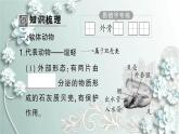 人教版生物八年级上册 第三节 软体动物和节肢动物 课件