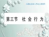 人教版生物八年级上册 第三节 社会行为 课件