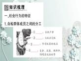 人教版生物八年级上册 第三节 社会行为 课件