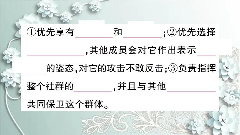 人教版生物八年级上册 第三节 社会行为 课件04