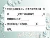 人教版生物八年级上册 第三节 社会行为 课件