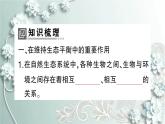人教版生物八年级上册 第三章 动物在生物圈中的作用 课件
