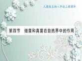 人教版生物八年级上册 第四节 细菌和真菌在自然界中的作用 课件