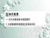 人教版生物八年级上册 第四节 细菌和真菌在自然界中的作用 课件