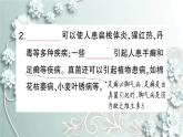 人教版生物八年级上册 第四节 细菌和真菌在自然界中的作用 课件