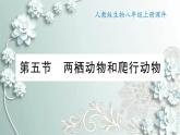 人教版生物八年级上册 第五节 两栖动物和爬行动物 课件