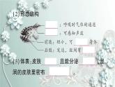 人教版生物八年级上册 第五节 两栖动物和爬行动物 课件