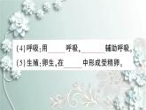 人教版生物八年级上册 第五节 两栖动物和爬行动物 课件