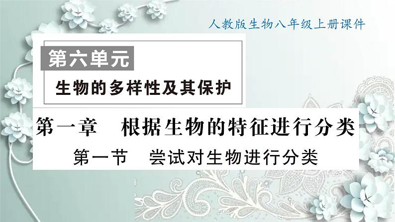 人教版生物八年级上册 第一节 尝试对生物进行分类 课件第1页