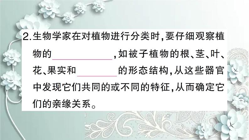 人教版生物八年级上册 第一节 尝试对生物进行分类 课件第3页