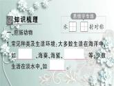 人教版生物八年级上册 第一节 腔肠动物和扁形动物 课件