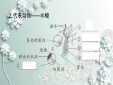 人教版生物八年级上册 第一节 腔肠动物和扁形动物 课件