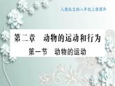 人教版生物八年级上册 第一节 动物的运动 课件