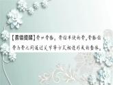 人教版生物八年级上册 第一节 动物的运动 课件