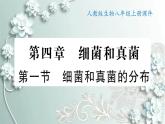 人教版生物八年级上册 第一节 细菌和真菌的分布 课件