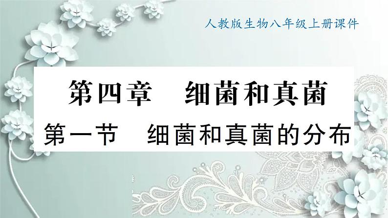 人教版生物八年级上册 第一节 细菌和真菌的分布 课件01